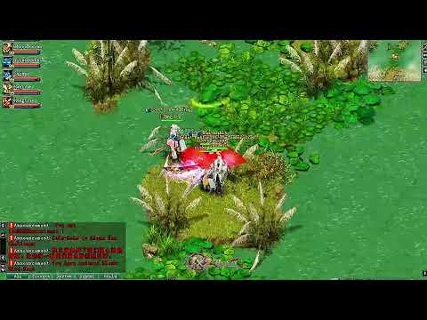 Bunsan video: JX2 ROYAL